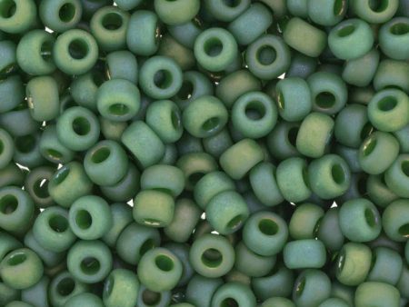 6 0 Miyuki Seed Beads, Matte Opaque Glazed Turtle Green AB, 6-4699, 10 grams Cheap