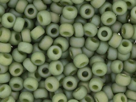 6 0 Miyuki Seed Beads, Matte Opaque Glazed Pistachio AB, 6-4698, 10 grams Fashion